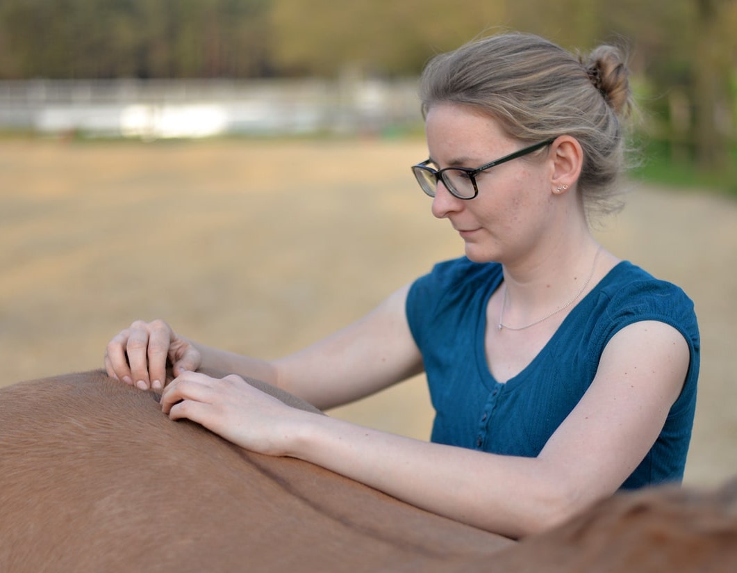 Annika-Janssen-Osteopathie-Physiotherapie-Pferde-Sottrum-Hands-on Annika-Janssen-Osteopathie-Physiotherapie-Pferde-Sottrum-Hands-on